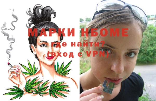 хмурый Мегион