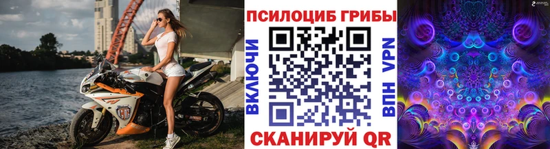 Галлюциногенные грибы ЛСД цена наркотик Губкин