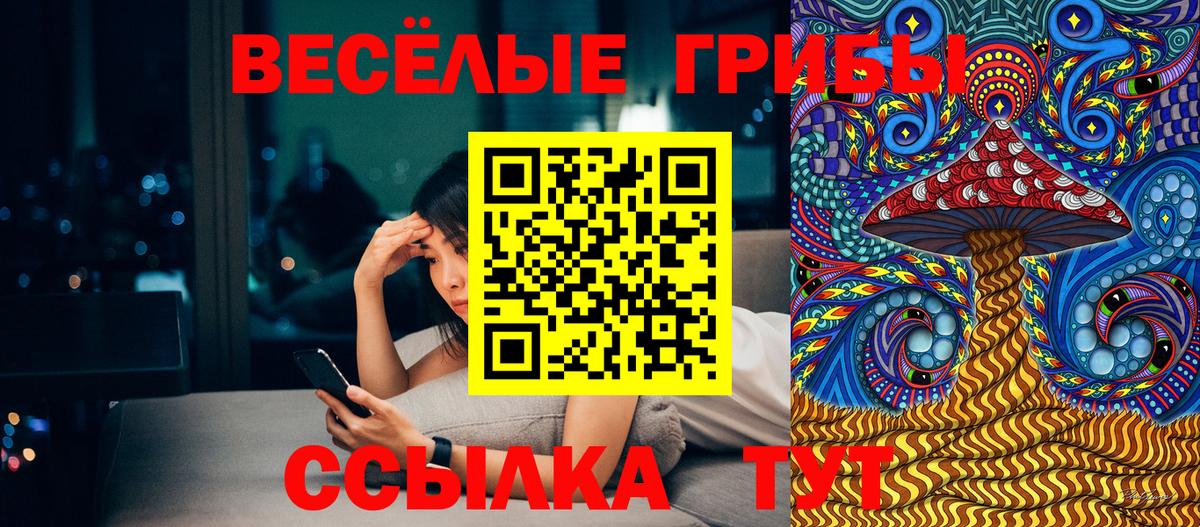 Псилоцибиновые грибы ЛСД Губкин