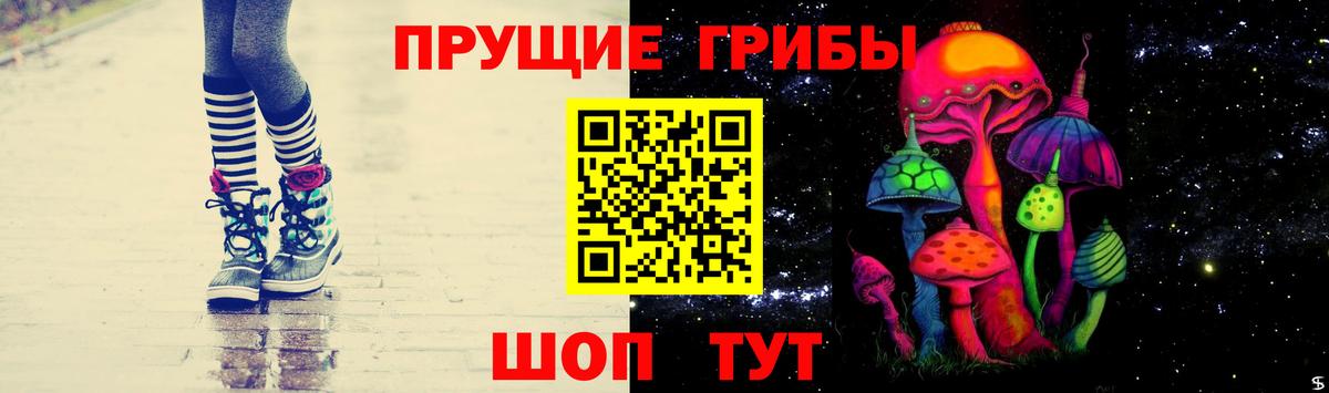 Губкин  Псилоцибиновые грибы GOLDEN TEACHER  Вход с VPN 