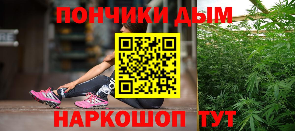 Каннабис ГИДРОПОН Губкин